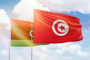 Sunny blue sky and flags of tunisia and libya