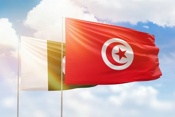 Sunny Blue Sky Flags Tunisia Pakistan — Stockfoto