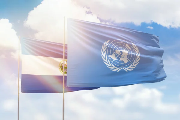 Сонячно Блакитне Небо Прапори Єднаних Націй Ельфа — стокове фото