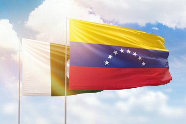 Sunny blue sky and flags of venezuela and pakistan
