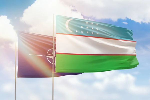 Sunny Blue Sky Flags Uzbekistan Nato — Stock Photo, Image