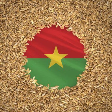 Flag of burkina faso with grains of wheat. Natural whole wheat concept with flag of burkina faso