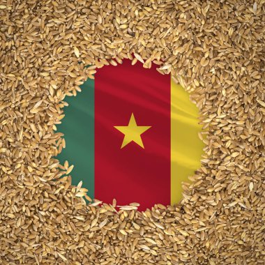 Flag of cameroon with grains of wheat. Natural whole wheat concept with flag of cameroon