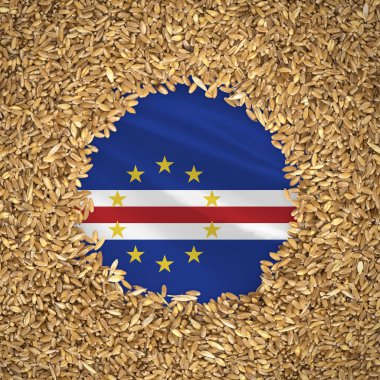 Flag of cape verde with grains of wheat. Natural whole wheat concept with flag of cape verde