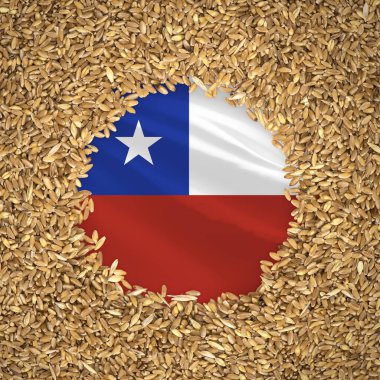 Flag of chile with grains of wheat. Natural whole wheat concept with flag of chile