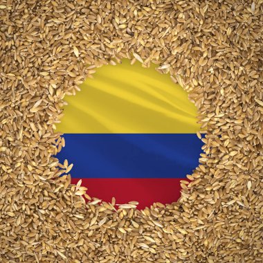 Flag of colombia with grains of wheat. Natural whole wheat concept with flag of colombia