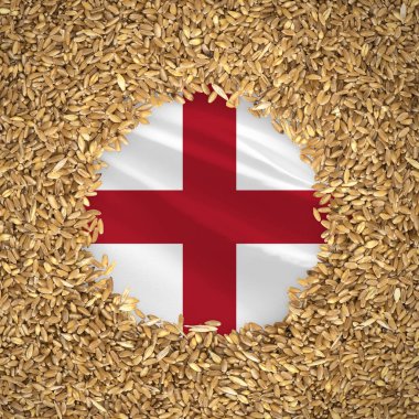 Flag of england with grains of wheat. Natural whole wheat concept with flag of england