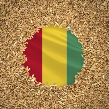 Flag of guinea with grains of wheat. Natural whole wheat concept with flag of guinea