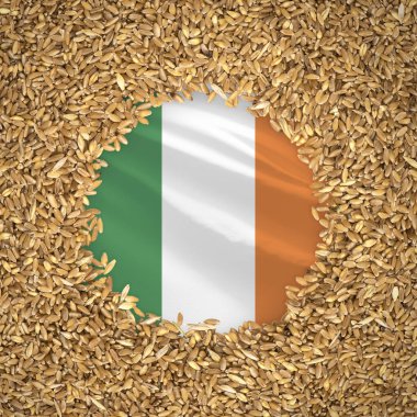 Flag of ireland with grains of wheat. Natural whole wheat concept with flag of ireland