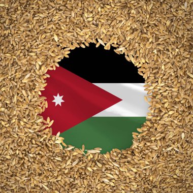 Flag of jordan with grains of wheat. Natural whole wheat concept with flag of jordan