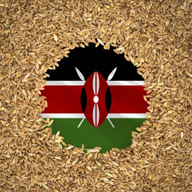 Flag of kenya with grains of wheat. Natural whole wheat concept with flag of kenya