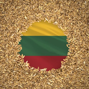 Flag of lithuania with grains of wheat. Natural whole wheat concept with flag of lithuania