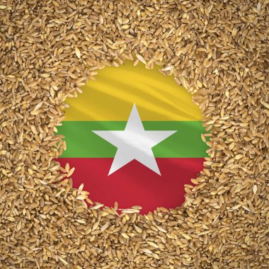 Flag of myanmar with grains of wheat. Natural whole wheat concept with flag of myanmar