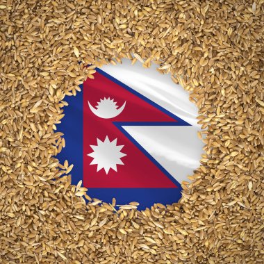 Flag of nepal with grains of wheat. Natural whole wheat concept with flag of nepal