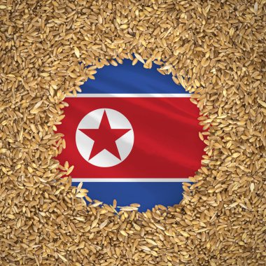 Flag of north korea with grains of wheat. Natural whole wheat concept with flag of north korea