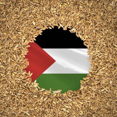 Flag of palestine with grains of wheat. Natural whole wheat concept with flag of palestine