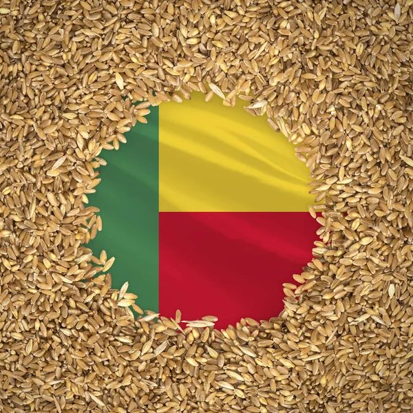 Flag of benin with grains of wheat. Natural whole wheat concept with flag of benin