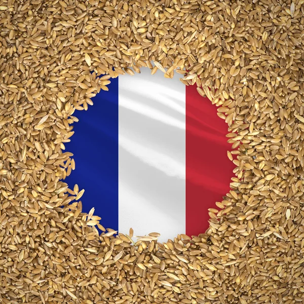 Flag of france with grains of wheat. Natural whole wheat concept with flag of france