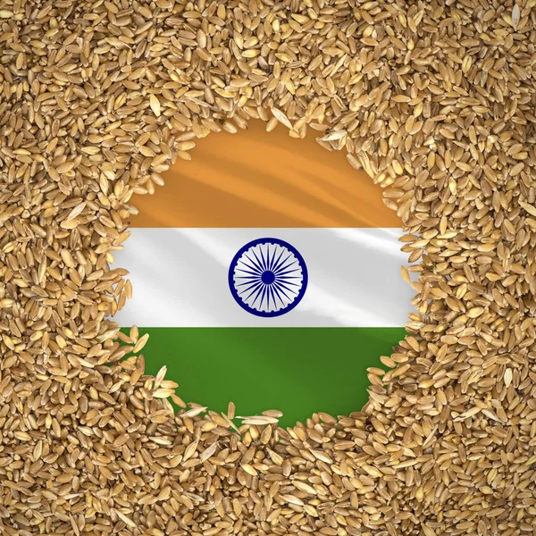 Flag of india with grains of wheat. Natural whole wheat concept with flag of india