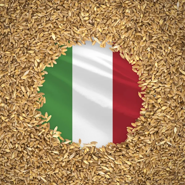 Flag of italy with grains of wheat. Natural whole wheat concept with flag of italy