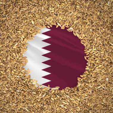 Flag of qatar with grains of wheat. Natural whole wheat concept with flag of qatar