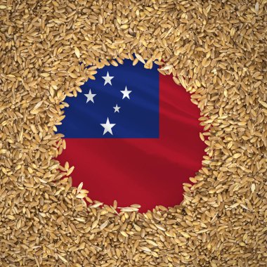 Flag of samoa with grains of wheat. Natural whole wheat concept with flag of samoa