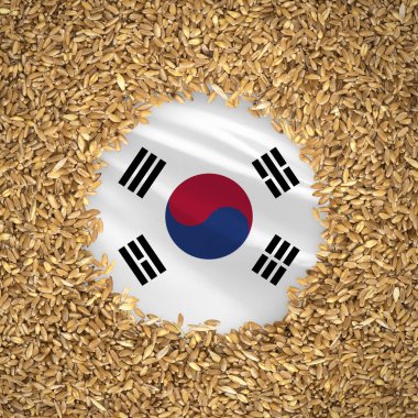 Flag of south korea with grains of wheat. Natural whole wheat concept with flag of south korea