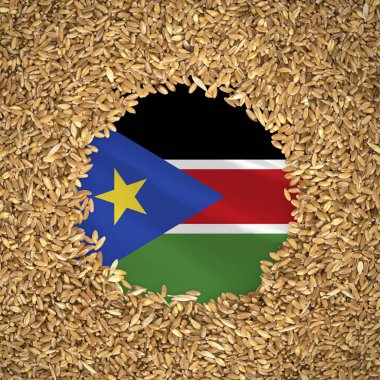 Flag of south sudan with grains of wheat. Natural whole wheat concept with flag of south sudan