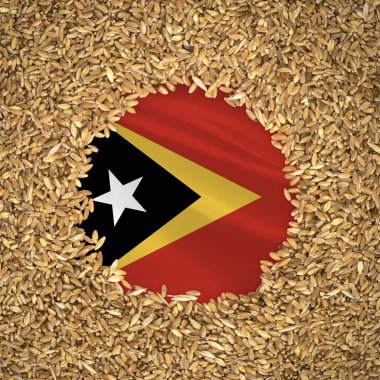Flag of timor leste with grains of wheat. Natural whole wheat concept with flag of timor leste