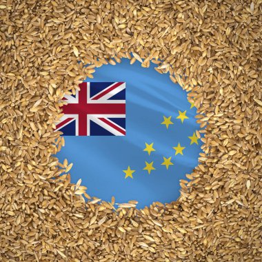 Flag of tuvalu with grains of wheat. Natural whole wheat concept with flag of tuvalu