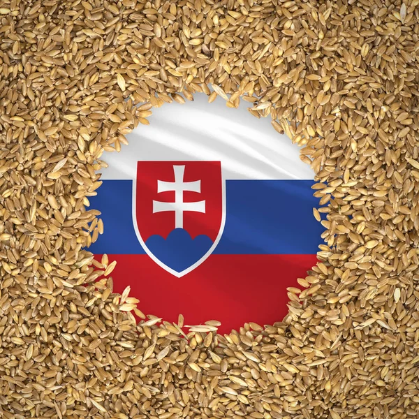 Флаг Словакии Зернами Пшеницы Естественная Концепция Цельной Пшеницы Флагом Словакии — стоковое фото