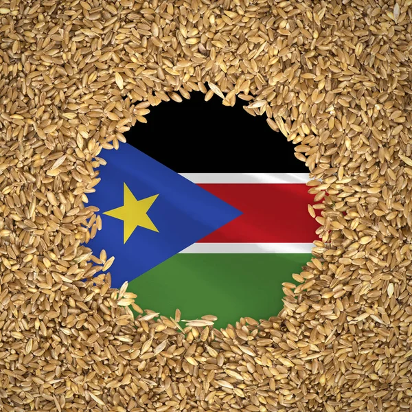 Flag of south sudan with grains of wheat. Natural whole wheat concept with flag of south sudan