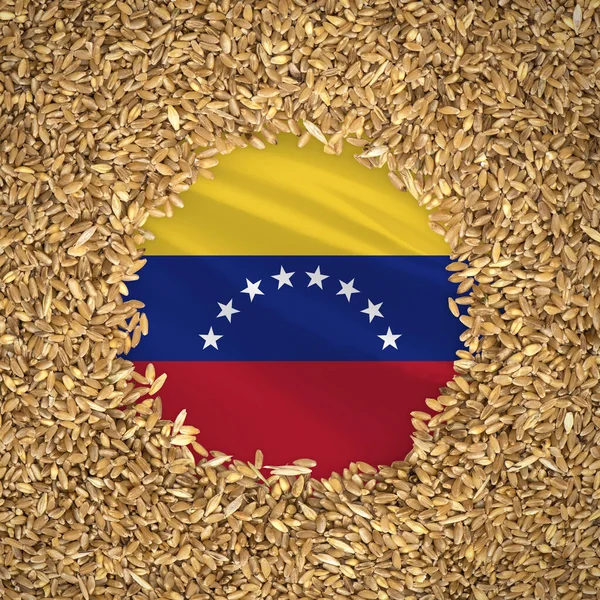 Flag of venezuela with grains of wheat. Natural whole wheat concept with flag of venezuela