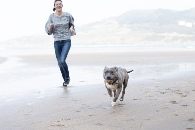 çalışan ve plaj topu ile oynayan köpek.