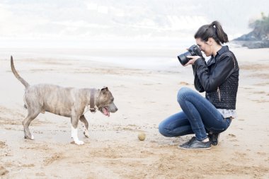 Young woman taking pictures of your dog, outdoor. clipart