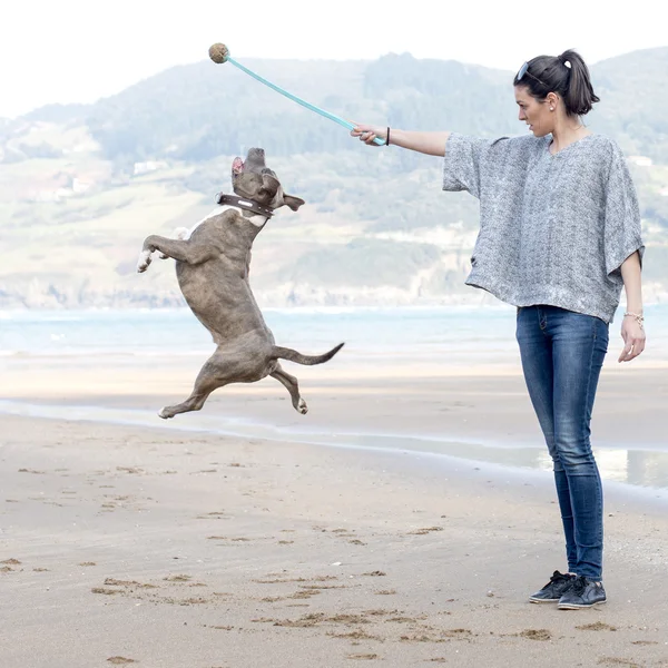 Vrouw spelen bal met hond in het strand. — Stockfoto