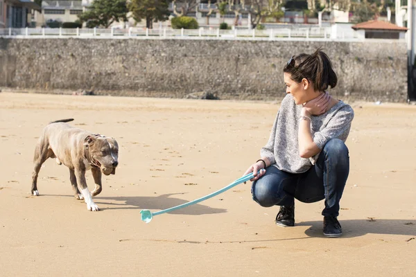 Mujer con perro jugando con pelota en la playa . —  Fotos de Stock