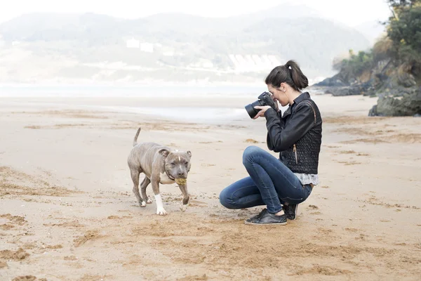 Young woman taking pictures of your dog, outdoor. — Stock Photo, Image