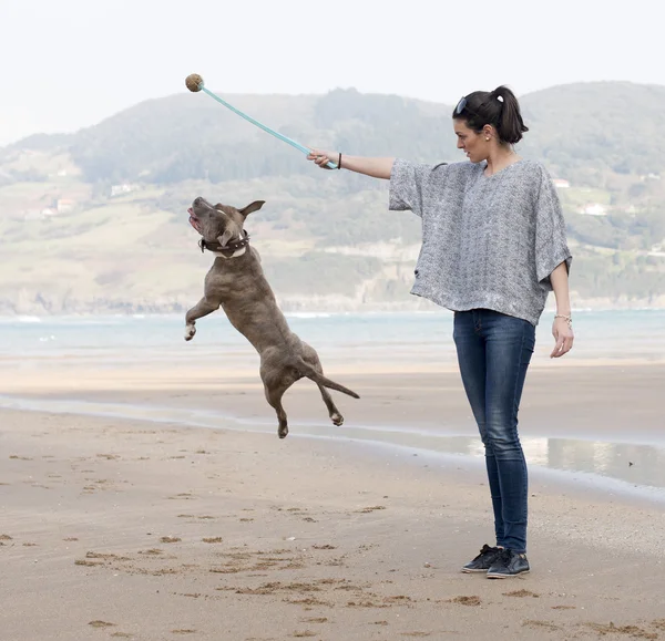 Молодая женщина играет и тренирует собаку, на открытом воздухе . — стоковое фото