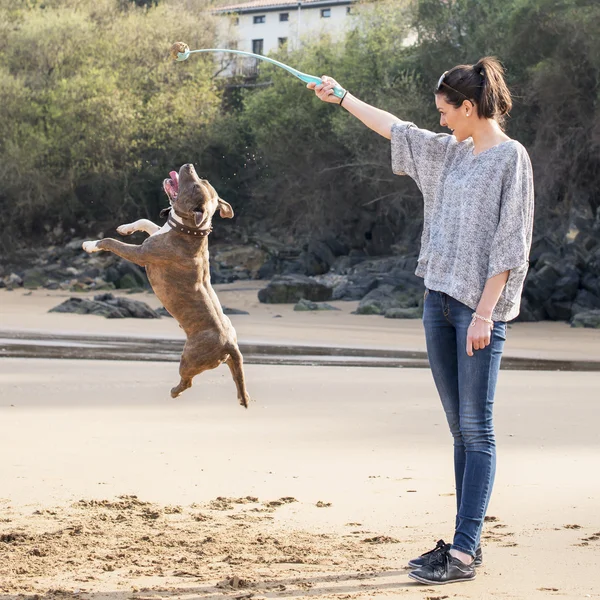 Young woman with ball playining with dog in the beach. — Stock Photo, Image