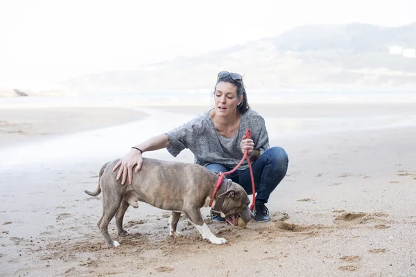 Meisje opleiding van de hond in het strand. — Stockfoto