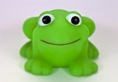 Kauçuk kurbağa