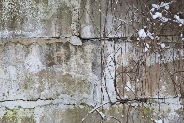 Beton duvar eski yapılmış — Stok fotoğraf