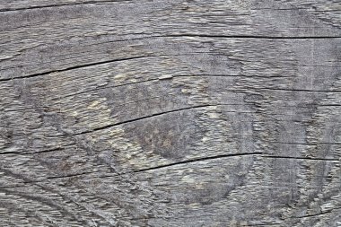 kaltaklar, çam board9