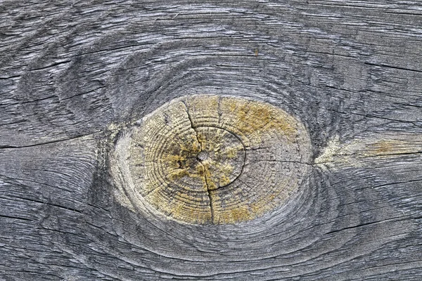 Textuur van het hout — Stockfoto