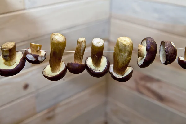 bir iş parçacığı üzerinde mantar