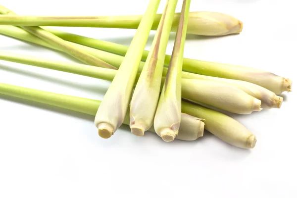 Lemon grass — Stock Photo, Image