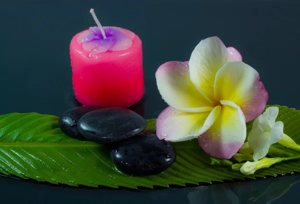 Piedras de spa y flores de Frangipani . — Foto de Stock