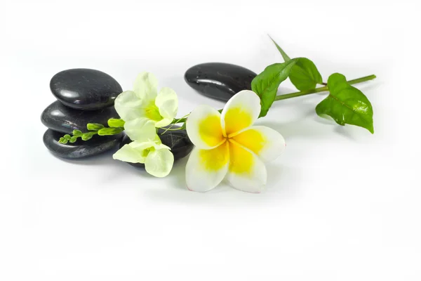 Spa taşlar ve frangipani çiçekler