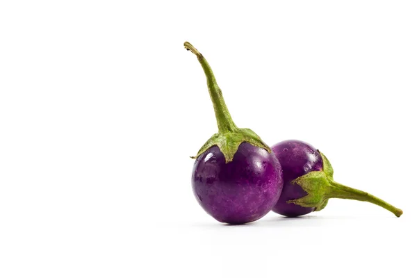 Eggplant purple. — Stock Photo, Image